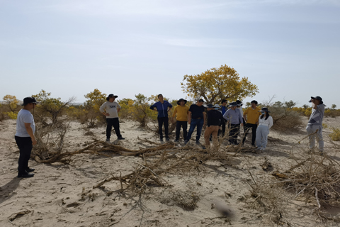 918博天堂 --官网首页